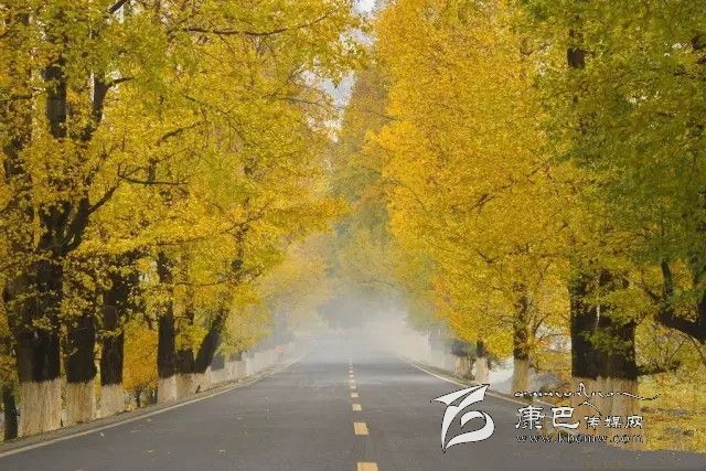 康定新都橋，有一條黃金大道通往夢中的天堂