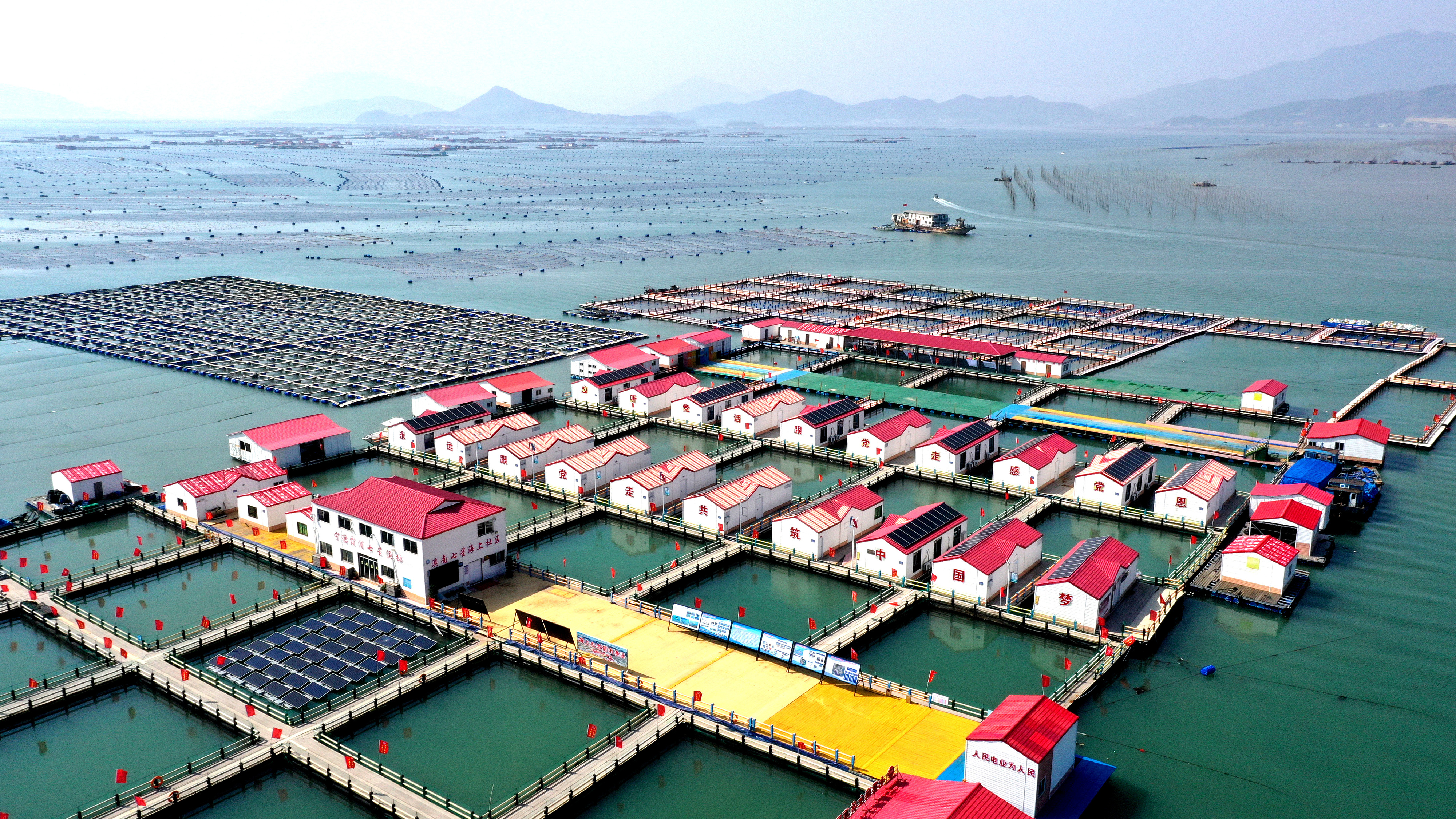 2024年3月20日，福建省寧德市，霞浦縣溪南鎮(zhèn)七星村漁排養(yǎng)殖示范區(qū)，漁民駕駛養(yǎng)殖船進(jìn)行海參養(yǎng)殖作業(yè)。